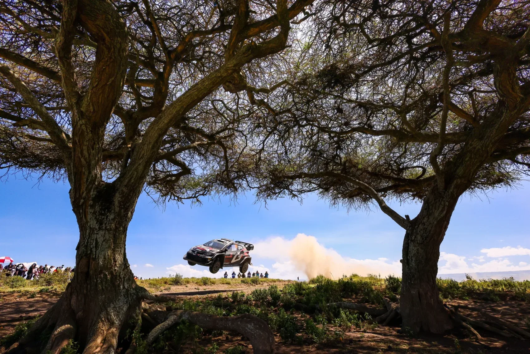 Rovanpera és a Toyota fölényében a Hyundai küzdelmei a Szafari Rallyn