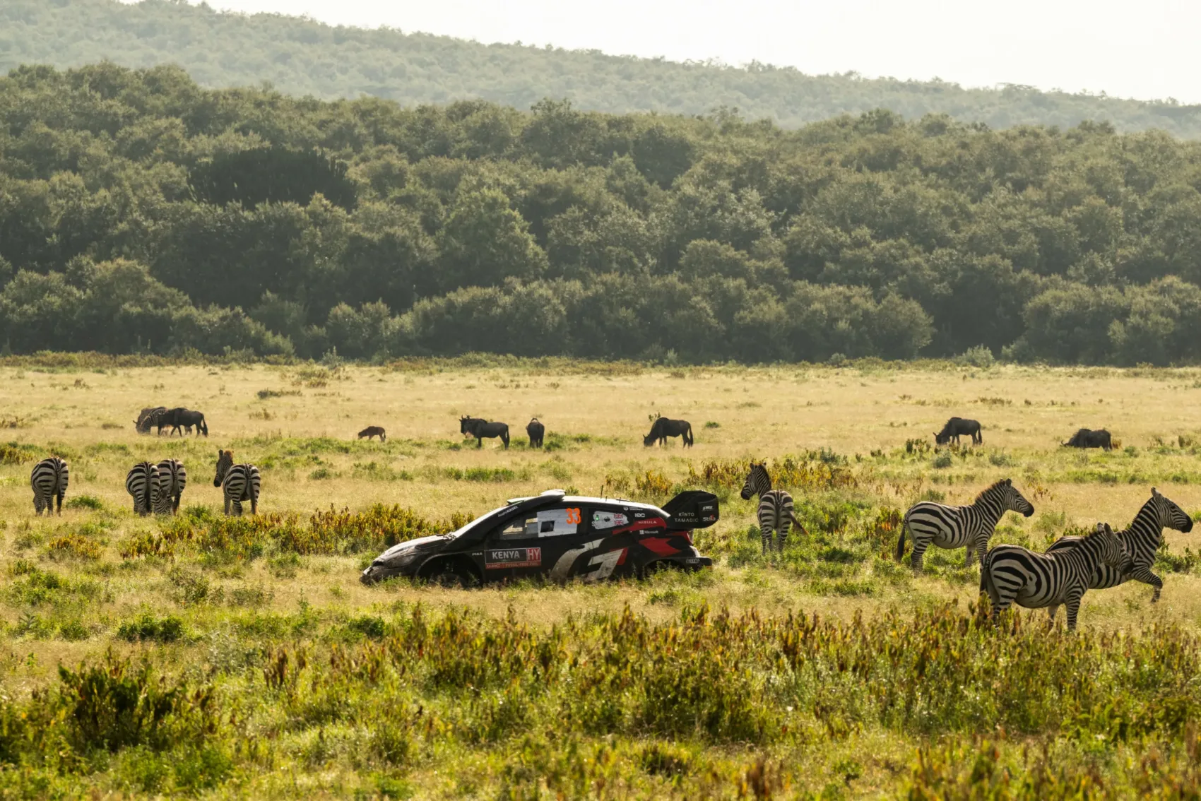 A Szafari Rallyn taktikát változtató Evans bánja döntését