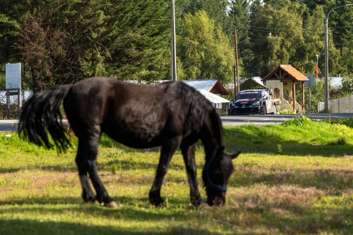 Evans továbbra is az éllovas a chilei rali 9. szakaszán, miután Ogier kiszállt