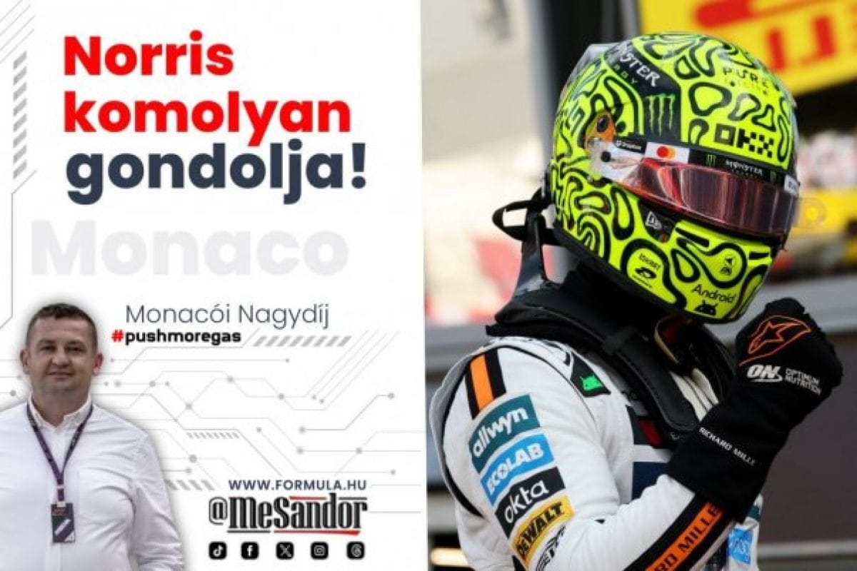 A komolyan gondolkodó Norris!