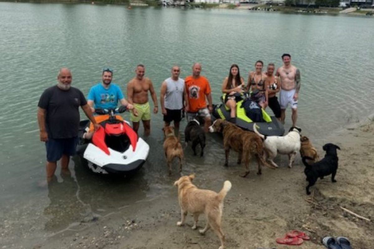 A Kutyák Mentésének Napján Mentett Állatok Strandoltak Kiss Norbival a Jet Power Hungary-nál
