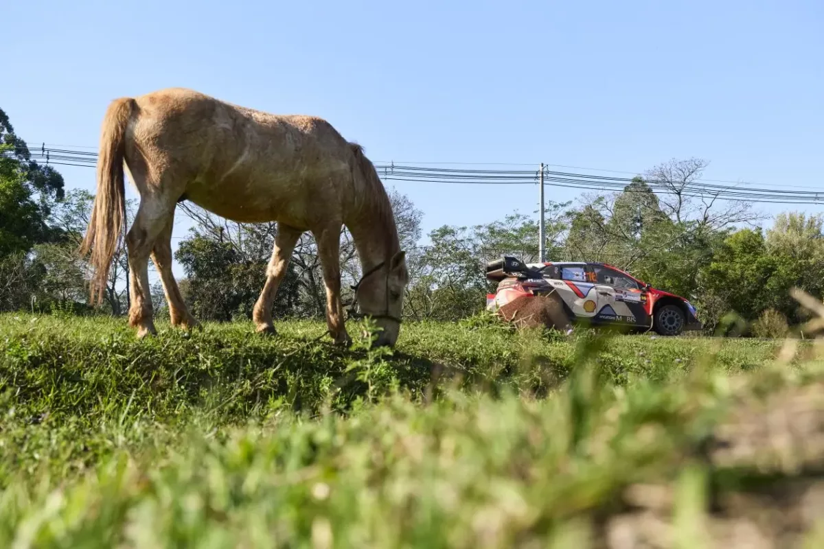 Utazás a vadonban: Az eső érkezése a Paraguay Rallyra