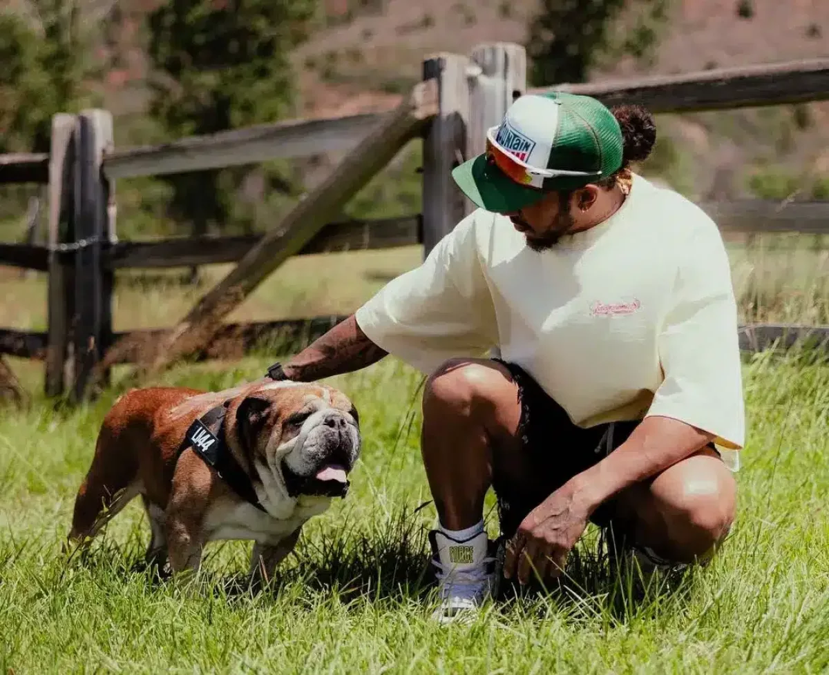 Roscoe, a vegán kutya: A váratlan kisétáltatás a látnokhoz