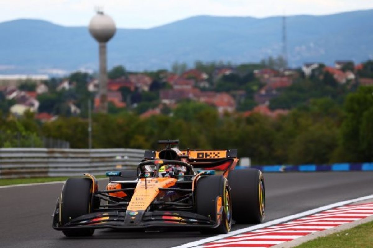 Stella: Az elvárásainkon felüli helyzet