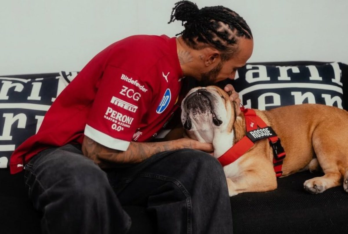 Egy hűséges barát búcsúja: Roscoe mindörökké a szívünkben marad – Hamilton megható videója