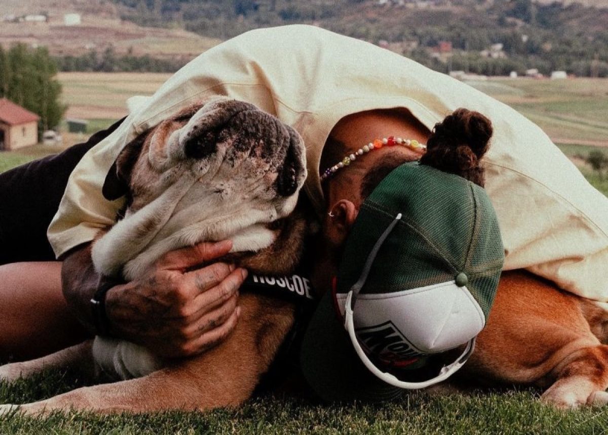 A búcsú édes keserűsége: Hamilton elveszti legjobb társát, Roscoe-t