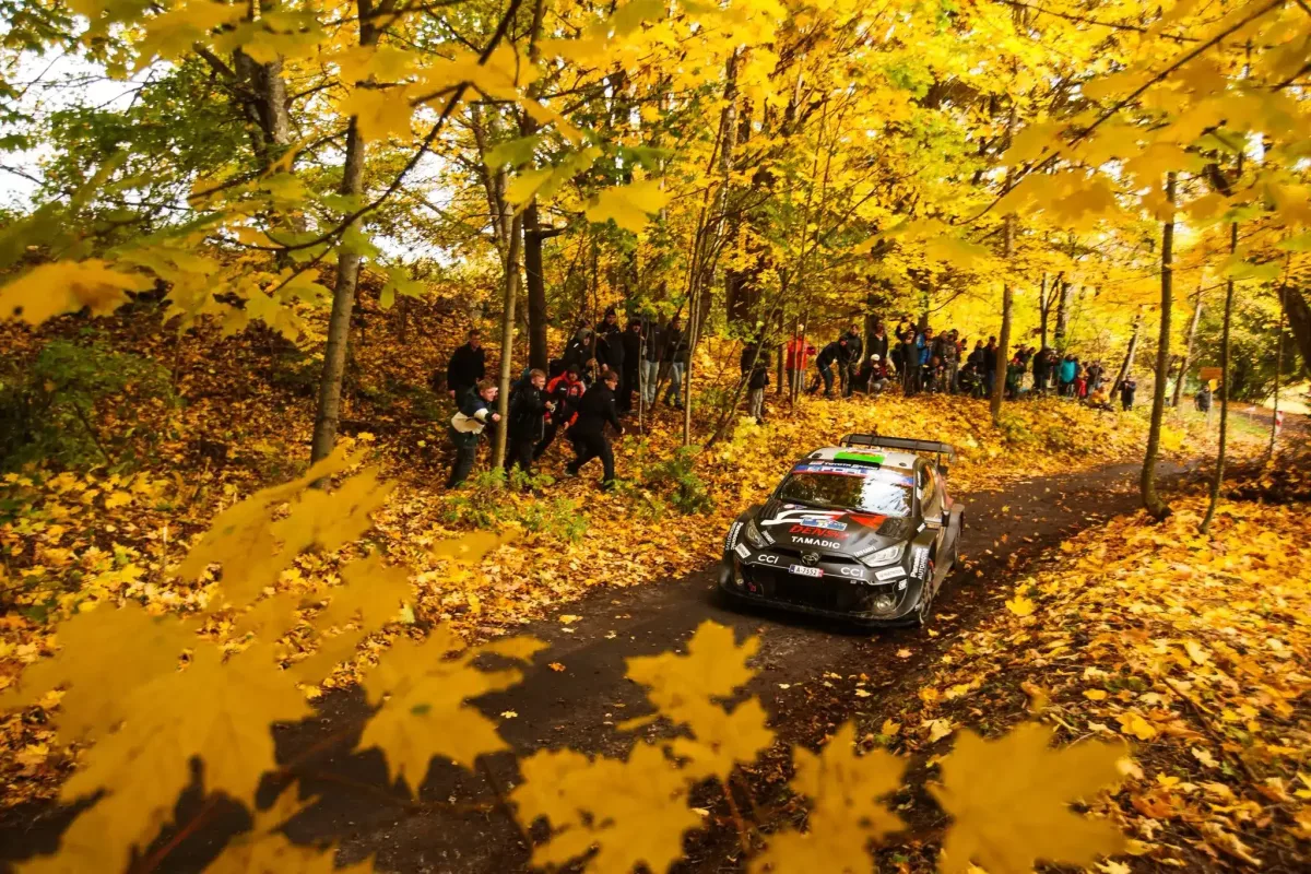 Elfyn Evans elismerése a Toyota versenyzési felfogásával kapcsolatban