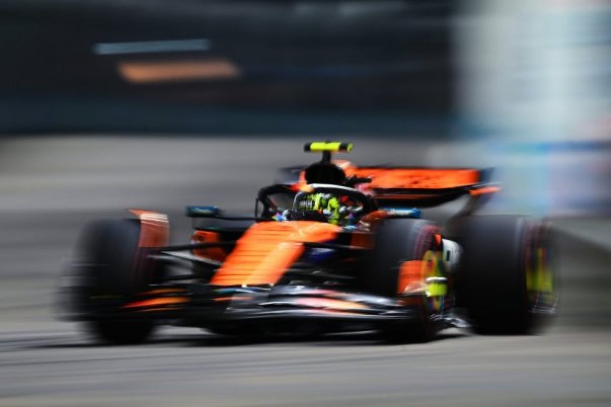 Szívbe markoló pillanatok: Stella hitelesít egy rejtett mintát