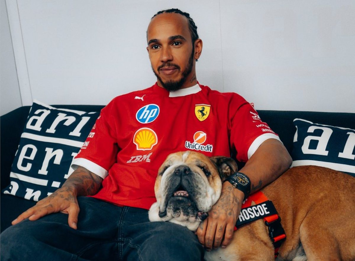 Roscoe: Az Életem Legfontosabb Alakja – Hamilton vallomása