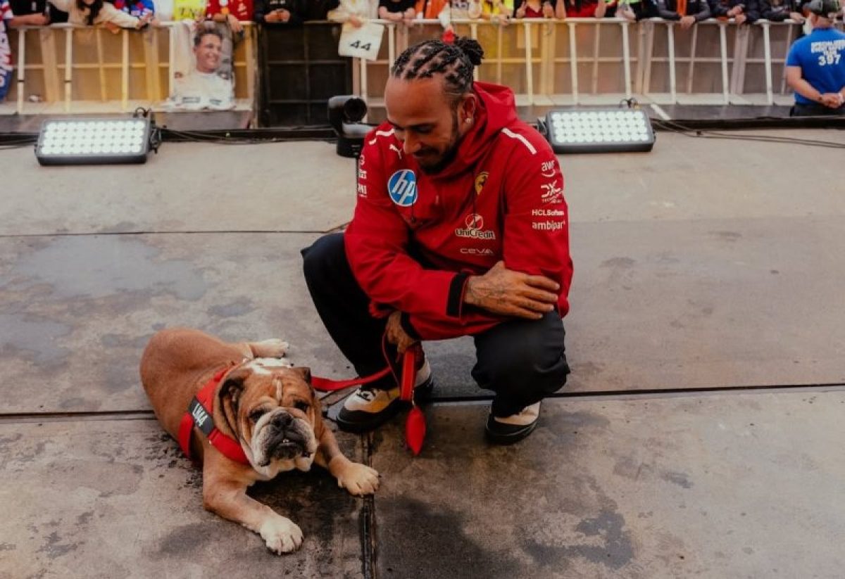 Hamiltont meghatotta a rengeteg üzenet, amelyet Roscoe elvesztése után kapott