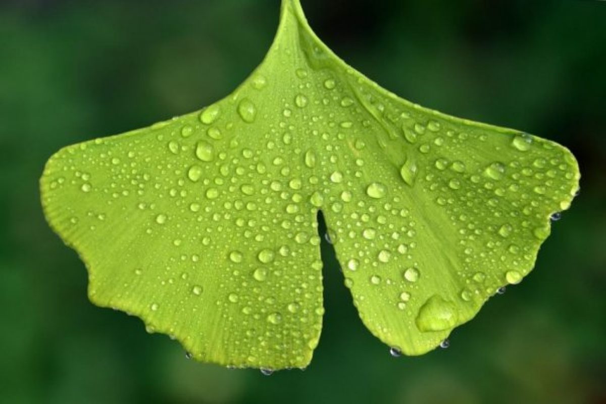 Természetes módszerek a mindennapi stressz csökkentésére