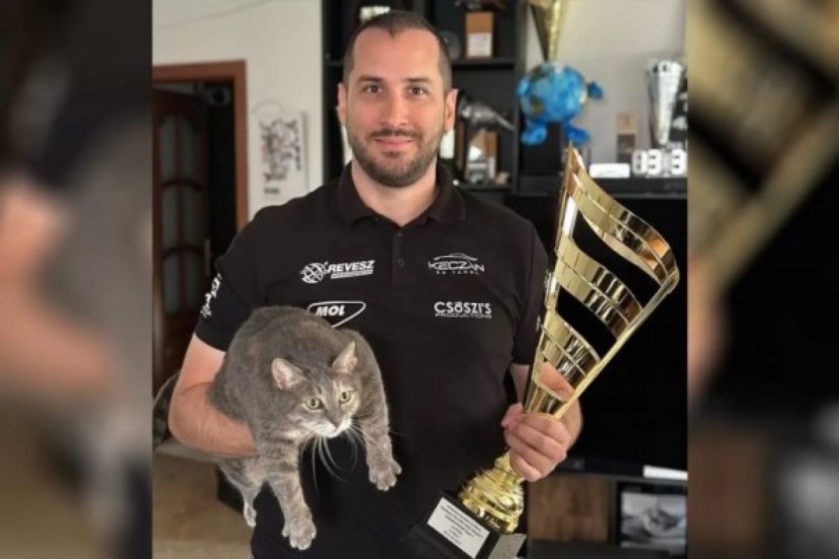 Norbik jótékonysági csúcstalálkozója lesz a Hello Cukiban