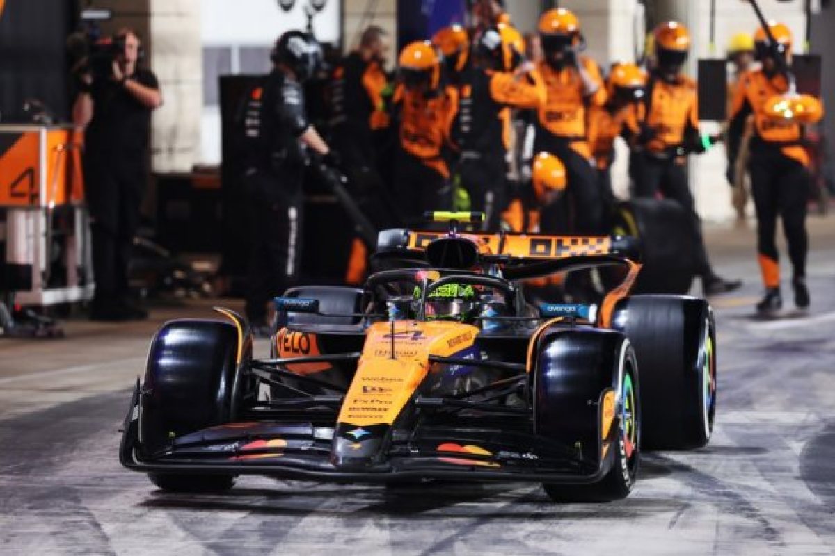 A szabadság hőse: Norris és a papaja szabályok