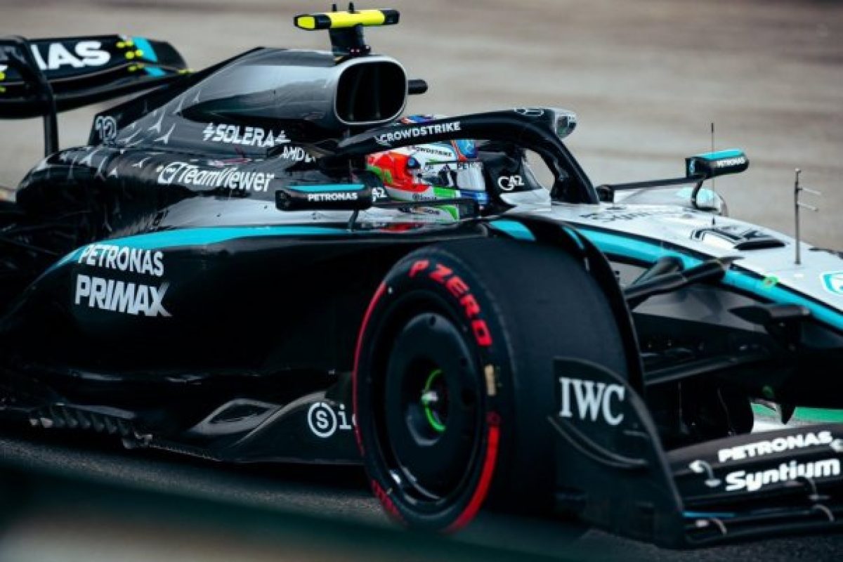 Az újrakezdés ereje: Antonelli története az élet túléléséről