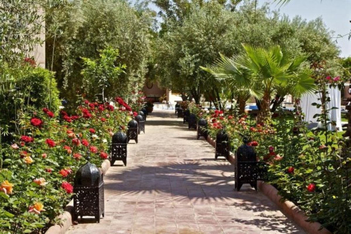 Varázslatos fények: a világítás misztikus ereje a kertben