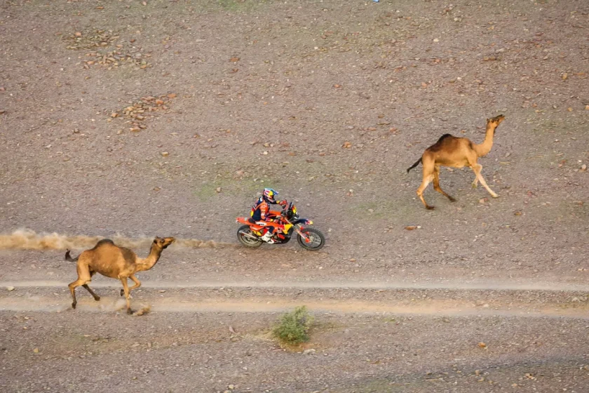 Sanders visszavette a vezetést a Dakar Rally ötödik szakaszán, Gyenes is beért a célba