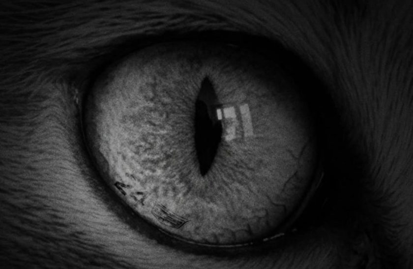 A Cadillac nagy bejelentést ígér – mi lehet az?