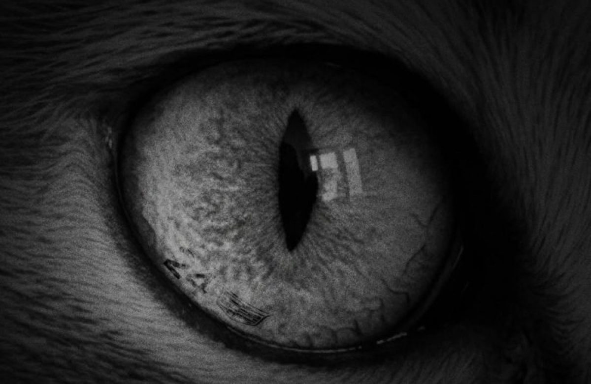 A Cadillac nagy bejelentést ígér – mi lehet az?