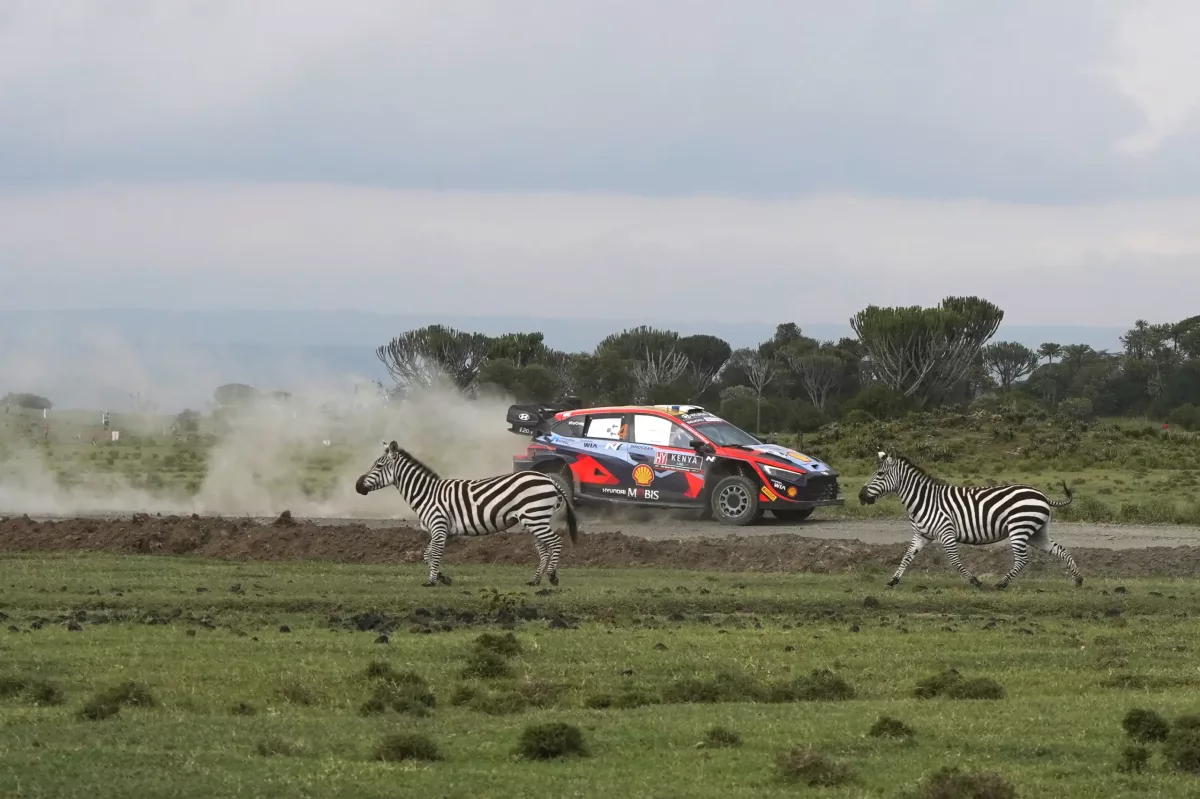 Esapekka Lappi: Nincs esély a Hyundai számára Kenyában