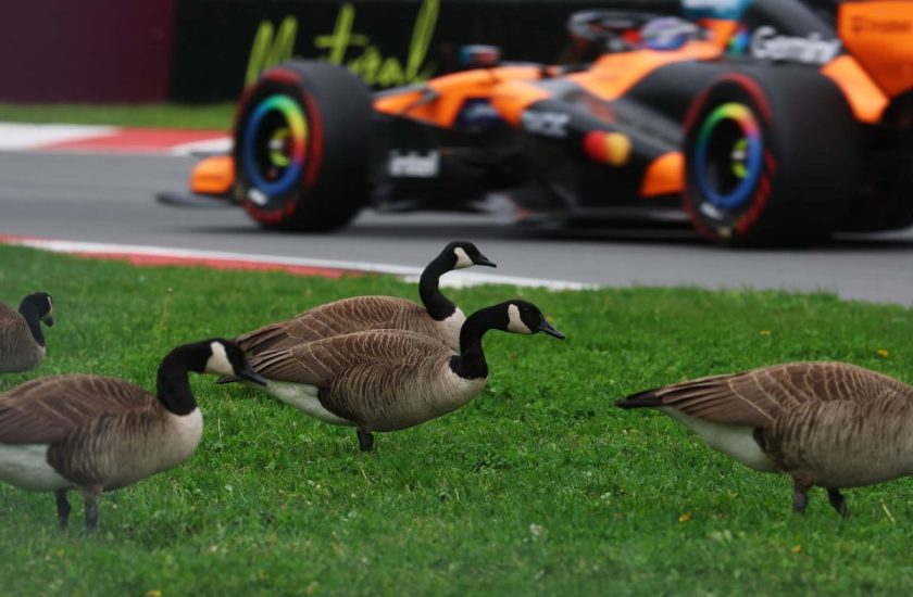 Igazgassa végül a járművet: Az F1 Kanadai Nagydíj rajtrácsa