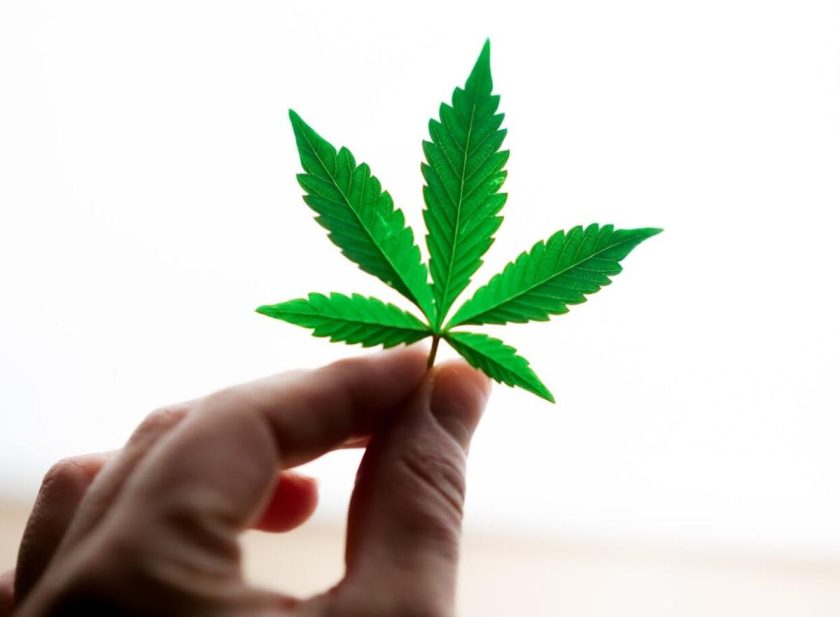 Vizsgáljuk meg: Segít-e a CBD az endometriózis kezelésében?