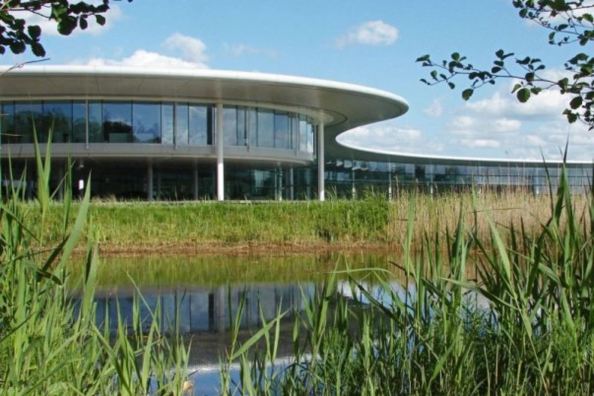 McLaren: Nem pontok, hanem pontyok!